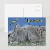 Cute Bunnies Happy Easter Briefkaart (Voorkant / Achterkant)