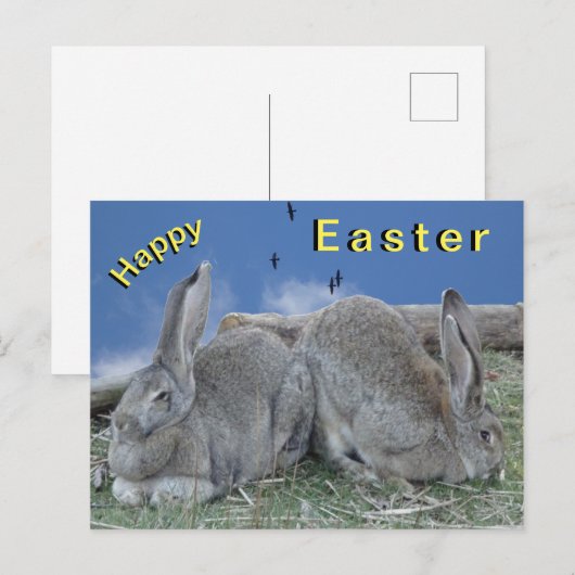 Cute Bunnies Happy Easter Briefkaart (Voorkant / Achterkant)