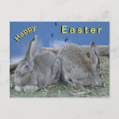 Cute Bunnies Happy Easter Briefkaart (Voorkant)