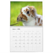 Cute Bunnies Kalender (Mar 2026)