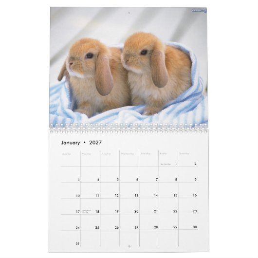 Cute Bunnies Kalender (Jan 2027)