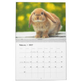 Cute Bunnies Kalender (Feb 2027)