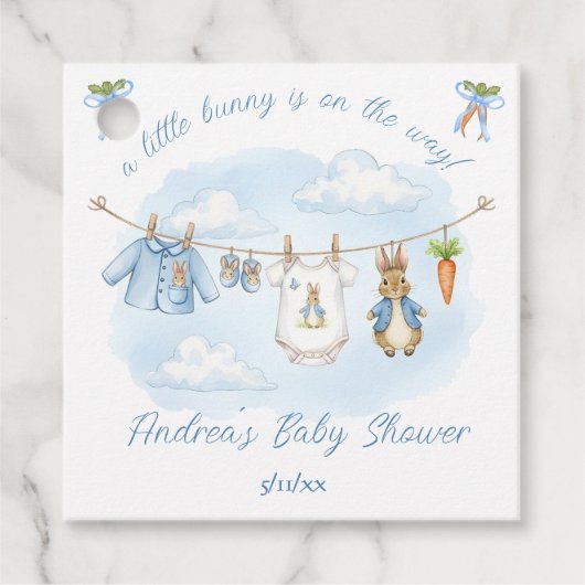 Cute Bunny Boy Clothesline Baby Shower Bedankjes Labels (Voorkant)