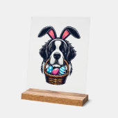 Cute Bunny Ear Saint Bernard Dog Easter Egg Owner  Acryl Bord (Hoek)
