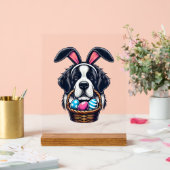 Cute Bunny Ear Saint Bernard Dog Easter Egg Owner  Acryl Bord (Huwelijk)