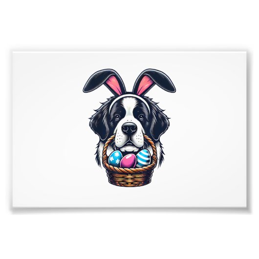 Cute Bunny Ear Saint Bernard Dog Easter Egg Owner  Foto Afdruk (Voorkant)