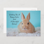 Cute Bunny Easter Feestdagenkaart (Voorkant / Achterkant)