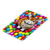 Cute Bunny en Jellybeans Magneet (Linkerzijde)