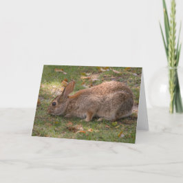 Cute Bunny Feestdagen Kaart