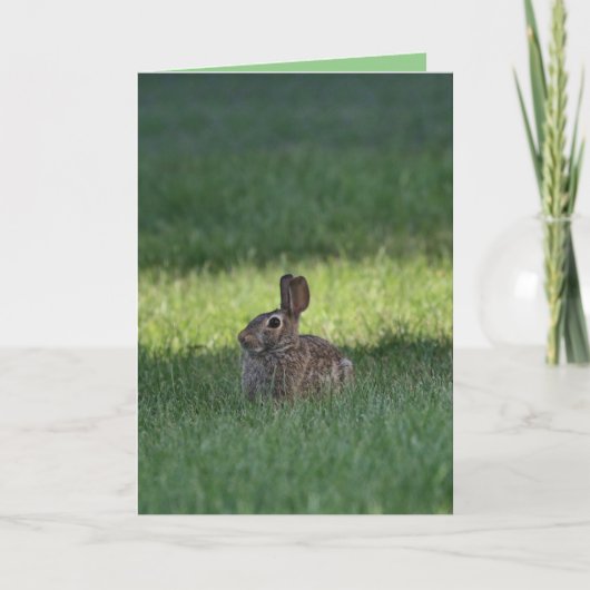 Cute bunny kaart (Voorkant)