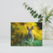 Cute bunny konbit briefkaart (Staand voorkant)