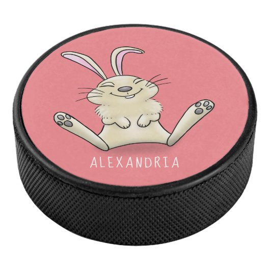 Cute bunny konbit cartoon illustration hockey puck (3/4)
