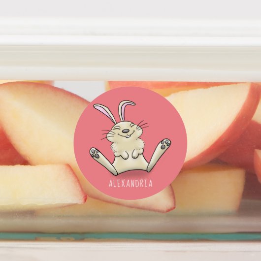Cute bunny konbit cartoon illustration labels (Aangebracht)