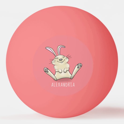 Cute bunny konbit cartoon illustration pingpongbal (Voorkant)