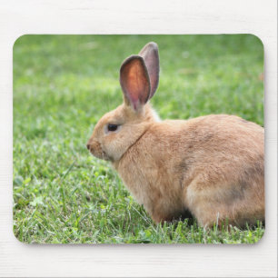 Cute Bunny Muismat
