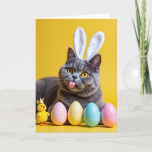 Cute Bunny Oren Kitty Kat Kaart