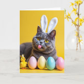 Cute Bunny Oren Kitty Kat Kaart (Gele Bloem)