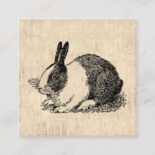 Cute Bunny Rabbit  Animal Art Illustratie Informatiekaartje