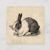 Cute Bunny Rabbit  Animal Art Illustratie Informatiekaartje (Voorkant)