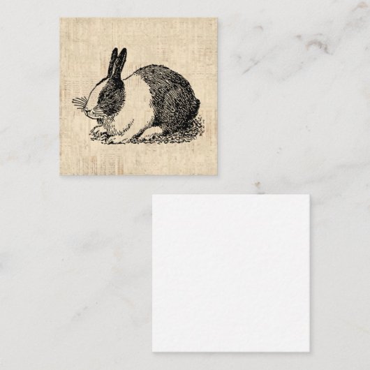 Cute Bunny Rabbit  Animal Art Illustratie Informatiekaartje (Voorkant / Achterkant)