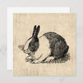 Cute Bunny Rabbit  Animal Art Illustratie Kaart (Voorkant / Achterkant)