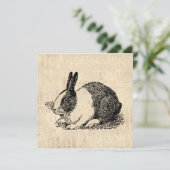 Cute Bunny Rabbit  Animal Art Illustratie Kaart (Staand voorkant)