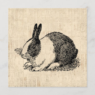 Cute Bunny Rabbit  Animal Art Illustratie Kaart