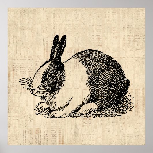 Cute Bunny Rabbit Animal Art Illustratie Poster (Voorkant)