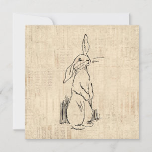 Cute Bunny Rabbit Art Script Background Kaart