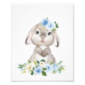 Cute Bunny, Rabbit, Blue Flowers, Boy Nursery Foto Afdruk (Voorkant)