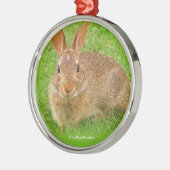 Cute Bunny Rabbit Chewing Greens op Golf Fairway Metalen Ornament (Links)