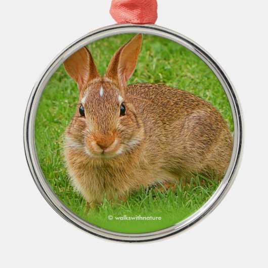 Cute Bunny Rabbit Chewing Greens op Golf Fairway Metalen Ornament (Voorkant)