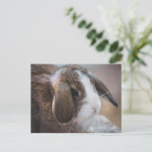 Cute Bunny Rabbit Easter Briefkaart (Staand voorkant)