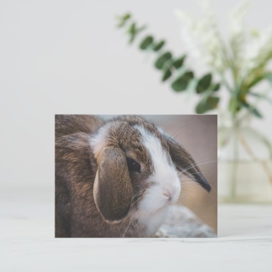 Cute Bunny Rabbit Easter Briefkaart (Staand voorkant)