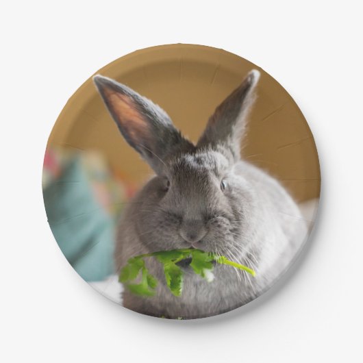 Cute Bunny Rabbit Eating Salad Paper Borden Papieren Bordje (Voorkant)