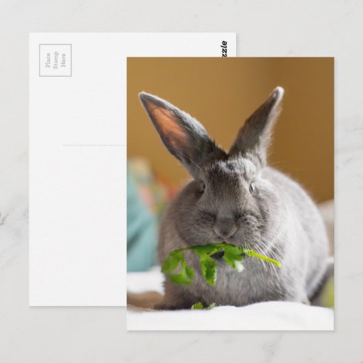Cute Bunny Rabbit Eating Veggies Briefkaart (Voorkant / Achterkant)