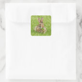 Cute Bunny Rabbit Eating Vierkante Sticker (Tas)