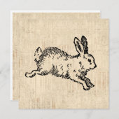 Cute Bunny Rabbit Illustration Script Art Feestdagenkaart (Voorkant / Achterkant)