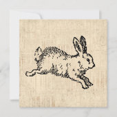 Cute Bunny Rabbit Illustration Script Art Feestdagenkaart (Voorkant)