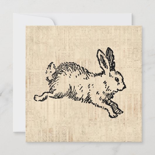 Cute Bunny Rabbit  Illustration Script Art Kaart (Voorkant)