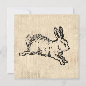 Cute Bunny Rabbit  Illustration Script Art Kaart (Voorkant)