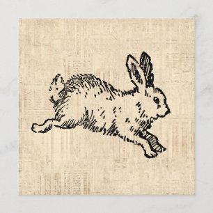 Cute Bunny Rabbit Illustration Script Art Kaart