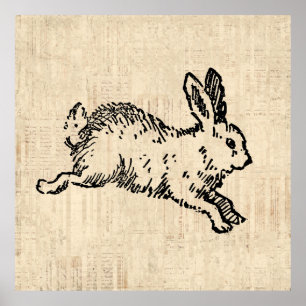 Cute Bunny Rabbit  Illustration Script Art Poster