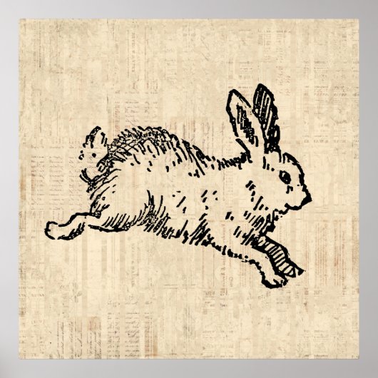 Cute Bunny Rabbit  Illustration Script Art Poster (Voorkant)