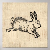 Cute Bunny Rabbit Illustration Script Art Poster (Voorkant)