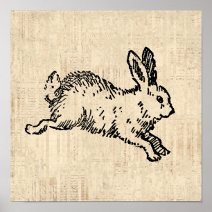 Cute Bunny Rabbit  Illustration Script Art Poster