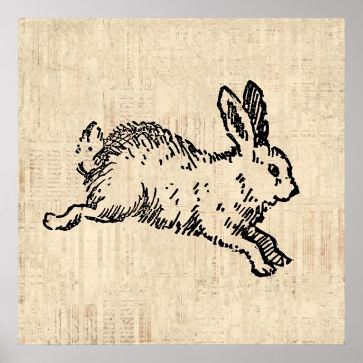 Cute Bunny Rabbit  Illustration Script Art Poster (Voorkant)