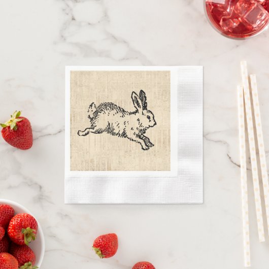 Cute Bunny Rabbit  Illustration Script Art Servet (Insitu)