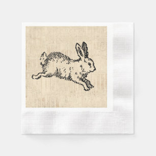 Cute Bunny Rabbit  Illustration Script Art Servet
