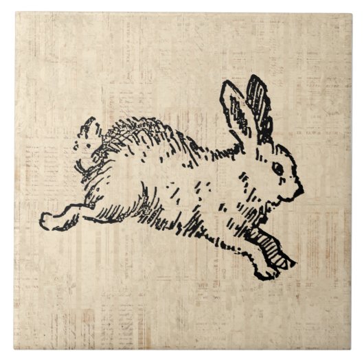 Cute Bunny Rabbit  Illustration Script Art Tegeltje (Voorkant)